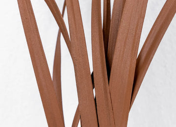 Mocha Mousse Lily Grass Greenery Close Up - Image