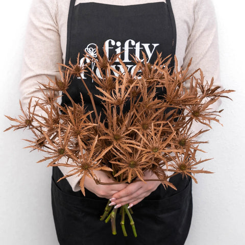 Mocha Mousse Thistle Flowers Apron - Image