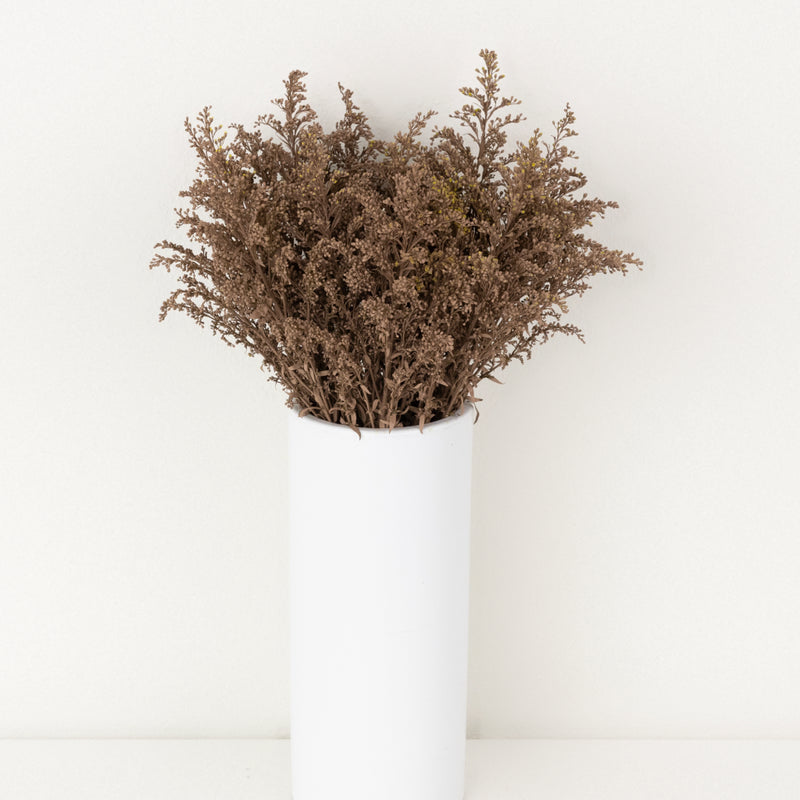 Mocha Mousse Tinted Solidago Flowers Vase - Image