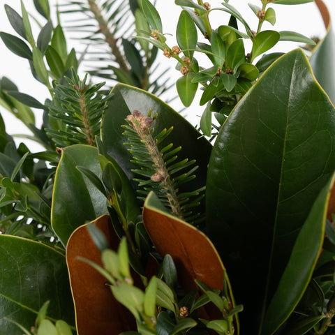 Modern Magnolia Greens Flower Centerpiece Close Up - Image