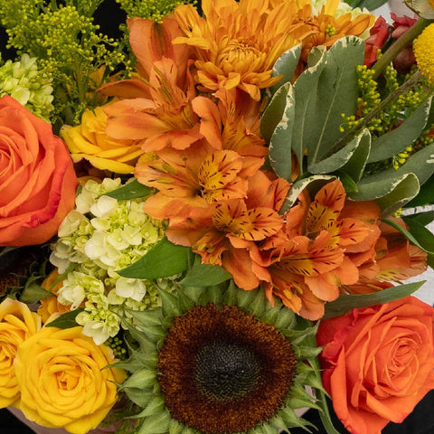 Modern Sunflower Bouquet Close Up - Image