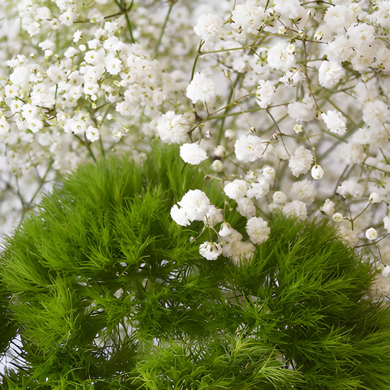 Mojito Mix DIY Flower Kit Up Close