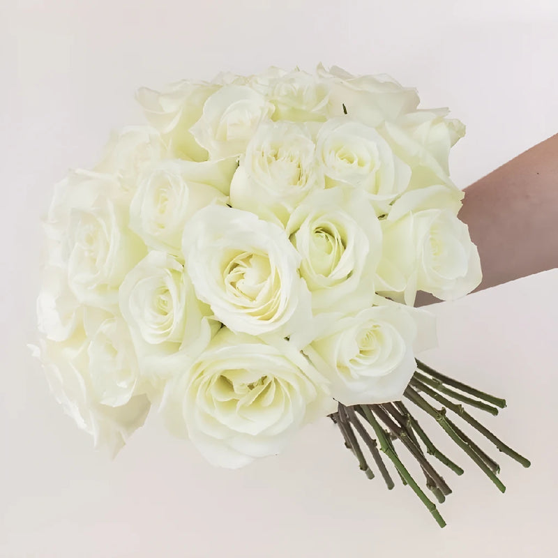 Mojito White Roses Hand - Image