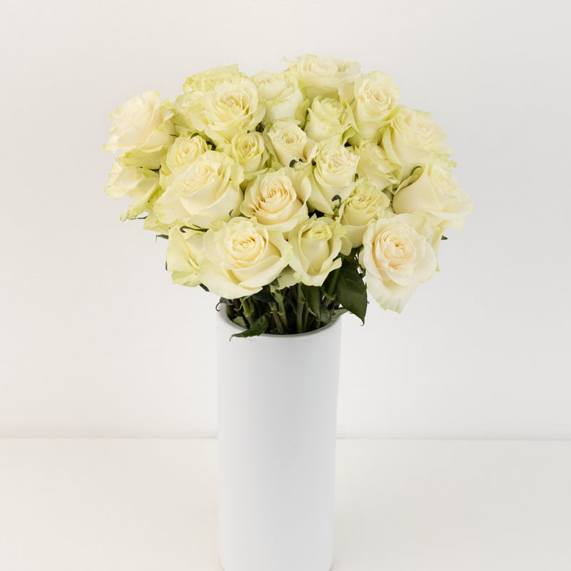 Mondial White Rose Vase - Image