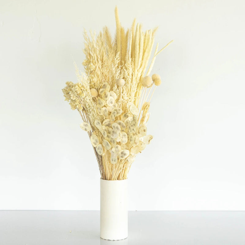 Monochromatic Bleach Dried Flower Kit Hand - Image
