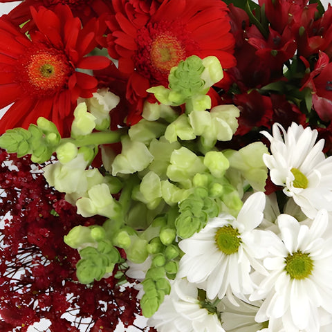 Monochromatic Red Combo DIY Flower Kit Up Close