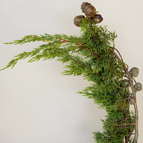 Wedding greenery monterey cypress winter filler flower sold near me