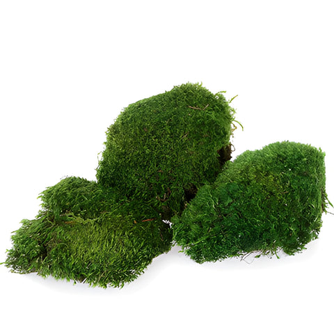 Dried Green Mood Moss