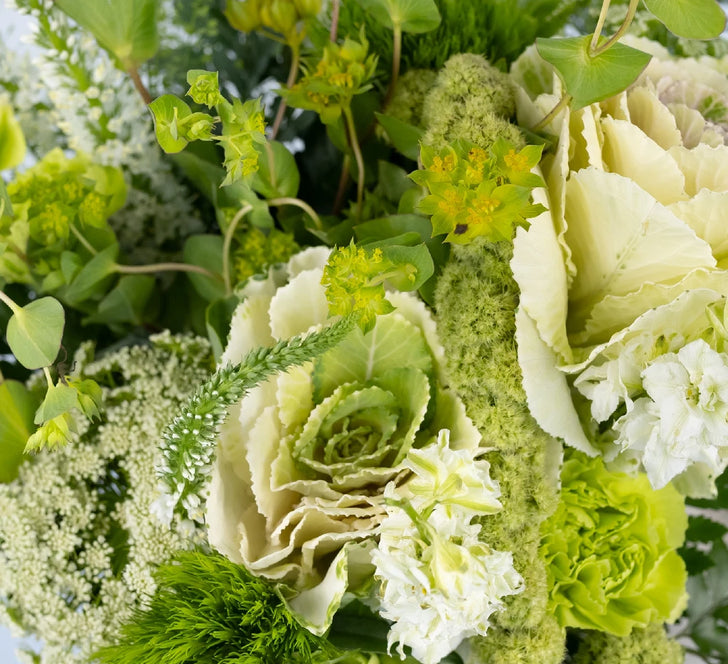 Moss Green Diy Flower Kit Close Up - Image