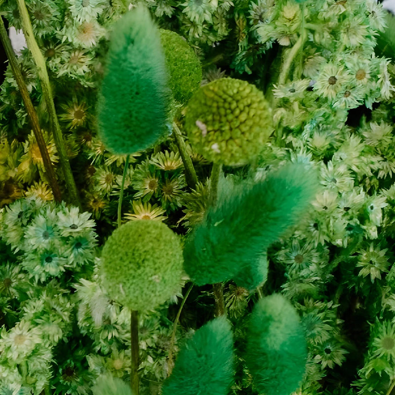 Moss Green Dried Flower Pack Close Up - Image