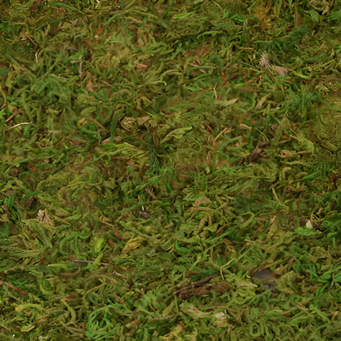 Peel N Stick Mossy Rolls