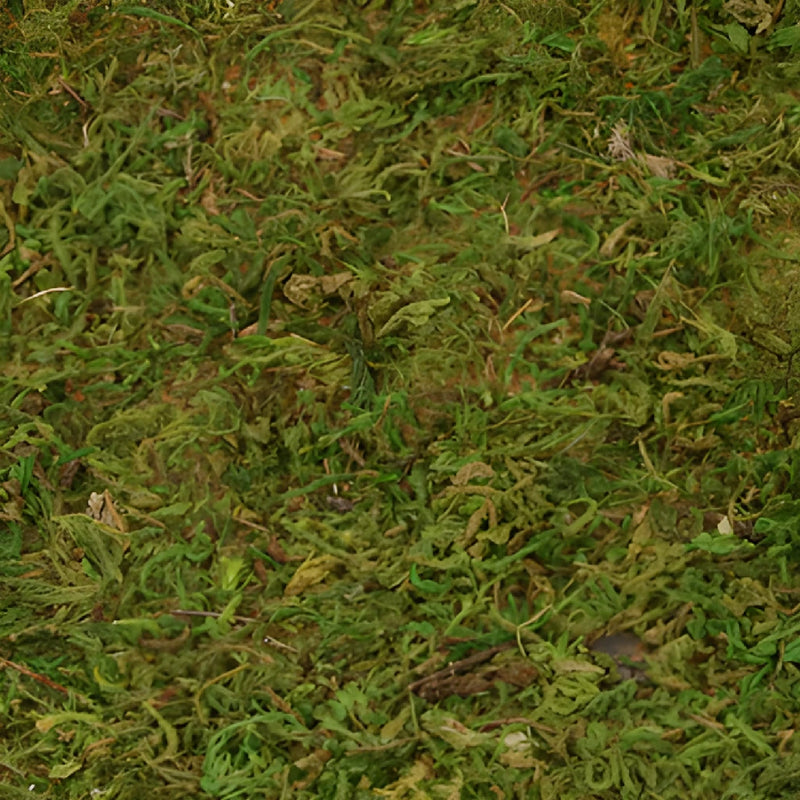 Peel N Stick Mossy Rolls