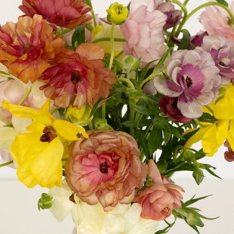 Mothers Day Butterfly Ranunculus Flowers Close Up - Image