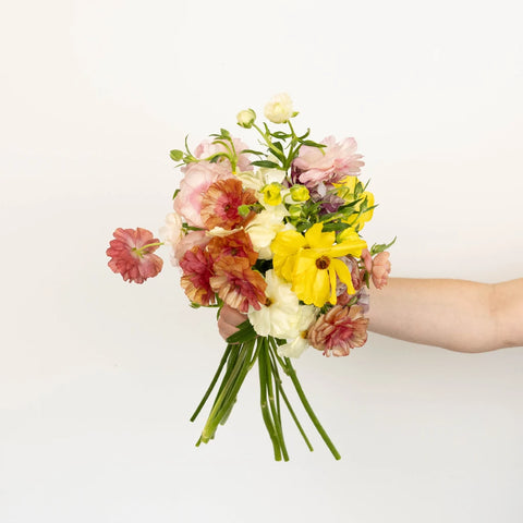 Mothers Day Butterfly Ranunculus Flowers Stem - Image