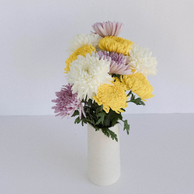 Mothers Day Football Mums Farm Mix Colors Stem - Image