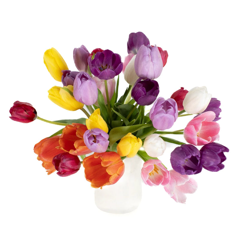 Mothers Day Fresh Cut Bulk Tulip Flowers Choose Your Color Stem - Image