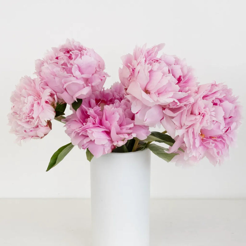Mothers Day Pink Peony Flowers Vase - Image