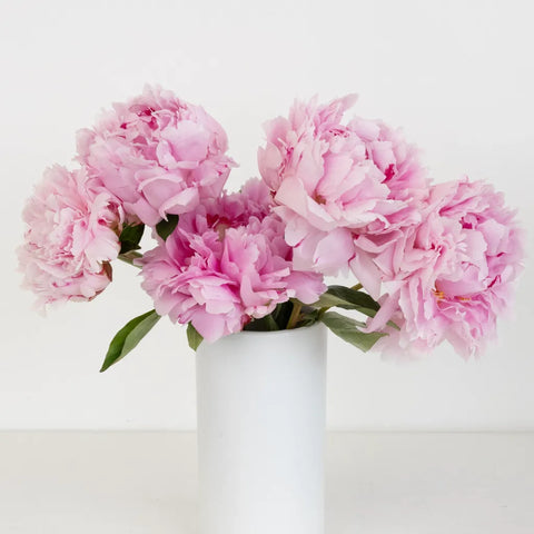 Mothers Day Pink Peony Flowers Vase - Image