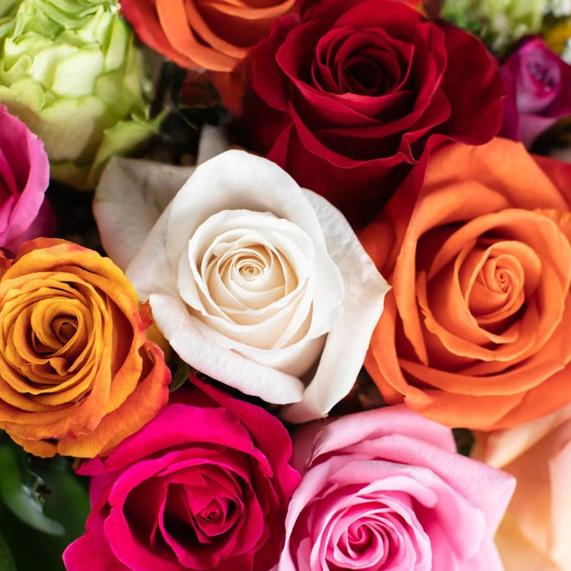 Mothers Day Wholesale Roses Choose Your Color Close Up - Image