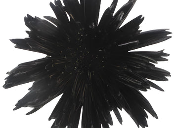 Gothic Black Airbrushed Spider Mum Flowers