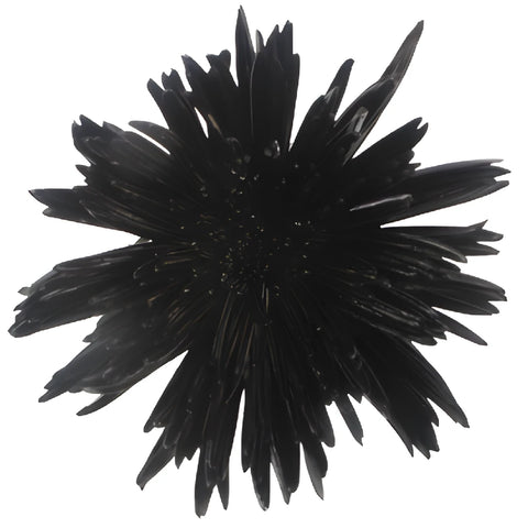 Gothic Black Airbrushed Spider Mum Flowers