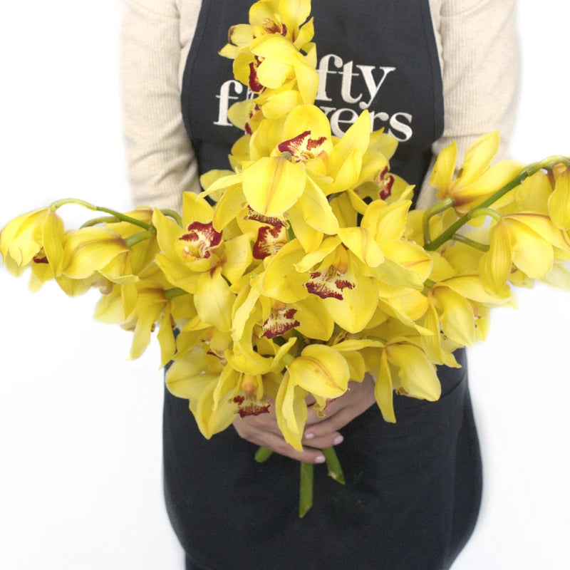 Mustard Cymbidium Orchids Apron - Image