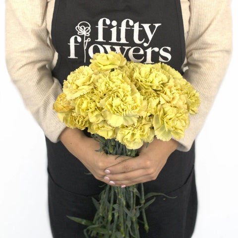 Mustard Apron - Image