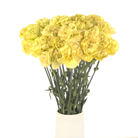 Mustard Vase - Image