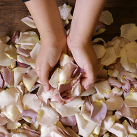 Mauve Fresh Rose Petals