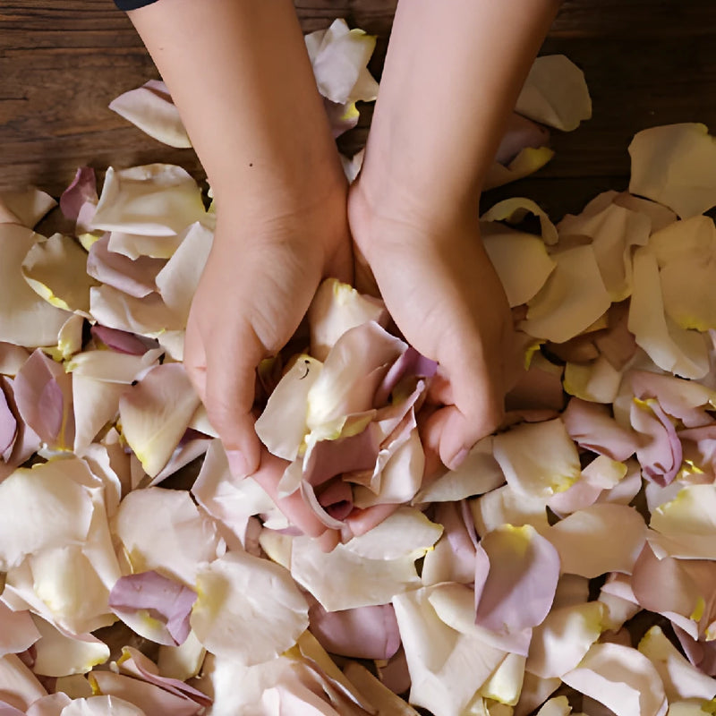 Mauve Fresh Rose Petals