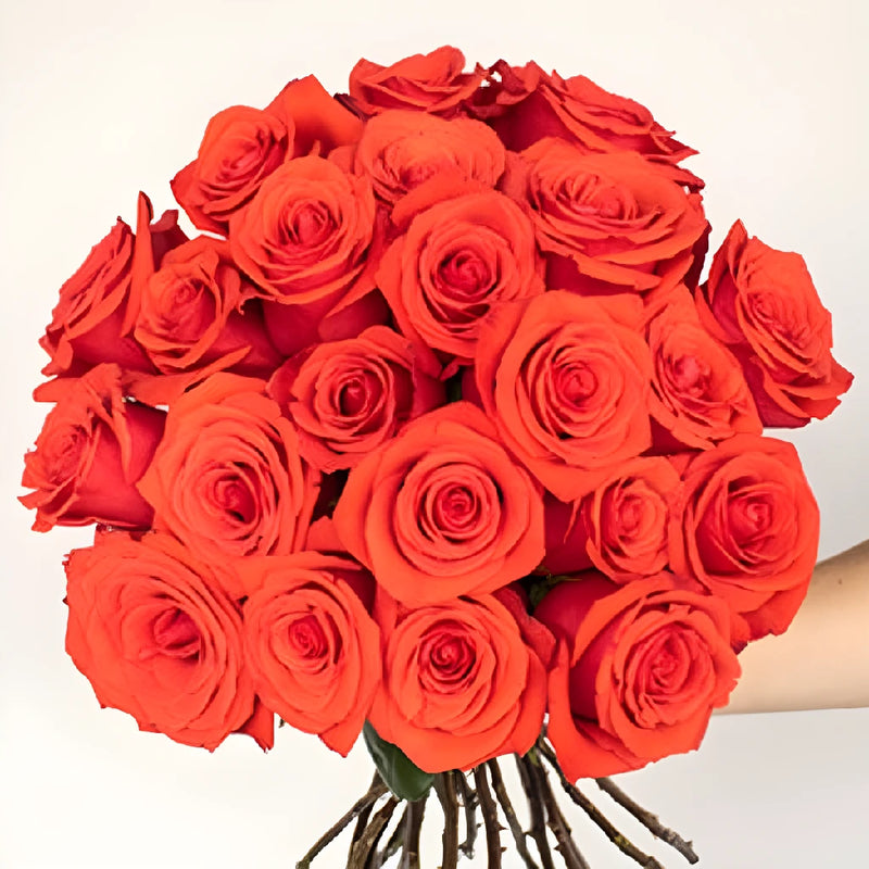 Mysterious Moonlight Orange Roses Vase - Image