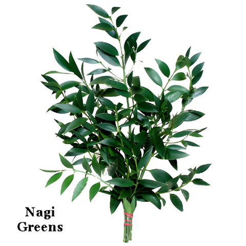 Nagi Greens Garland