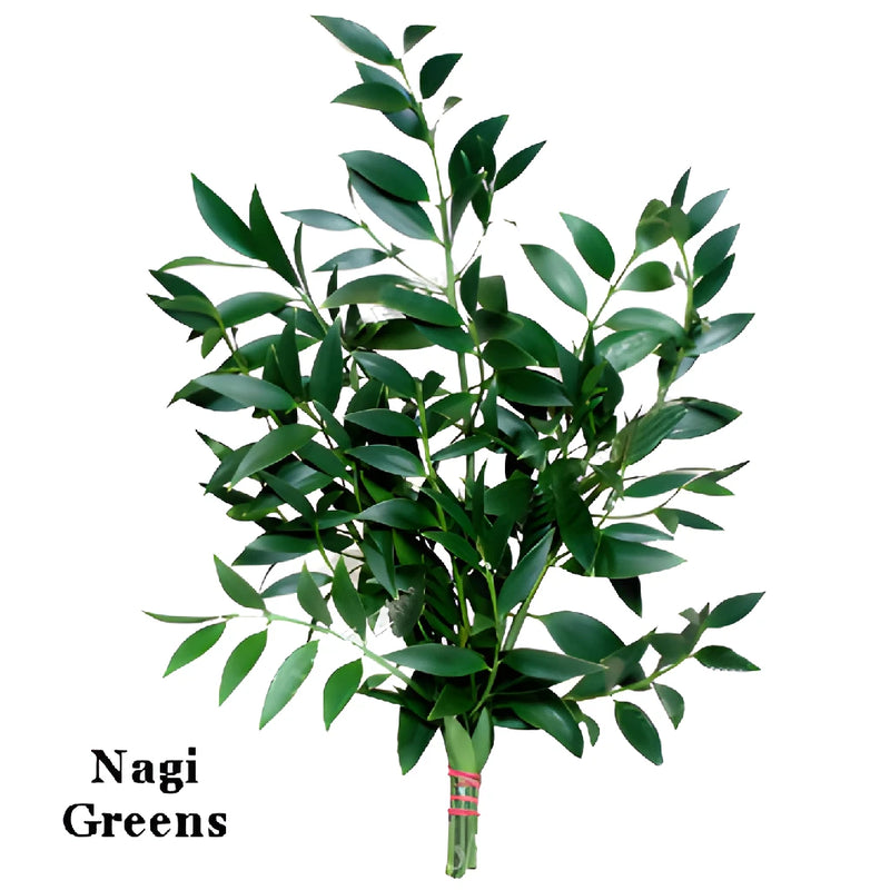 Nagi Greens Garland