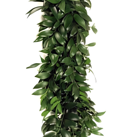 Nagi Greens Garland