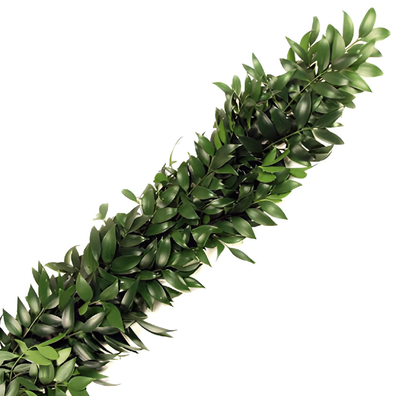 Nagi Greens Garland