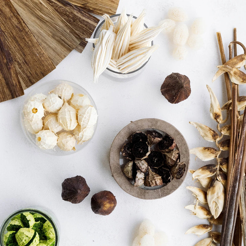 Natural Dried Tropical Pack Stem - Image