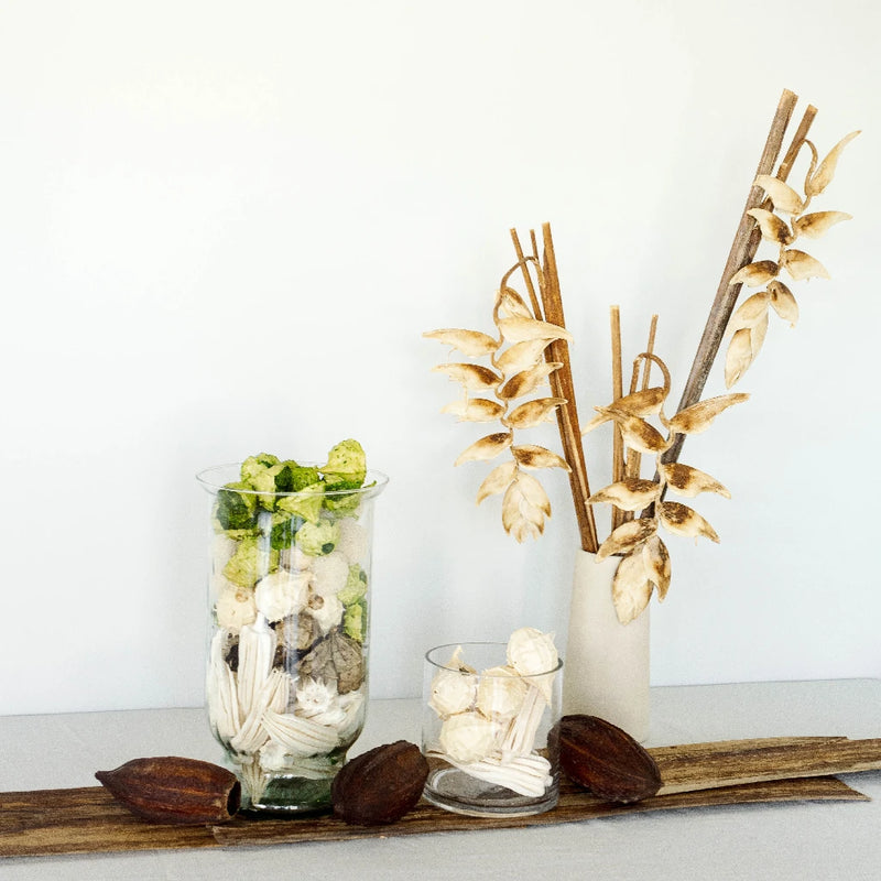 Natural Dried Tropical Pack Vase - Image