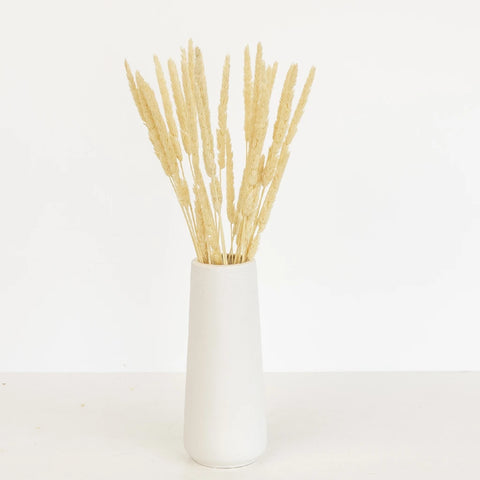 Natural Dried Typha Grass Vase - Image