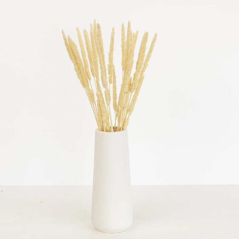 Natural Dried Typha Grass Vase - Image
