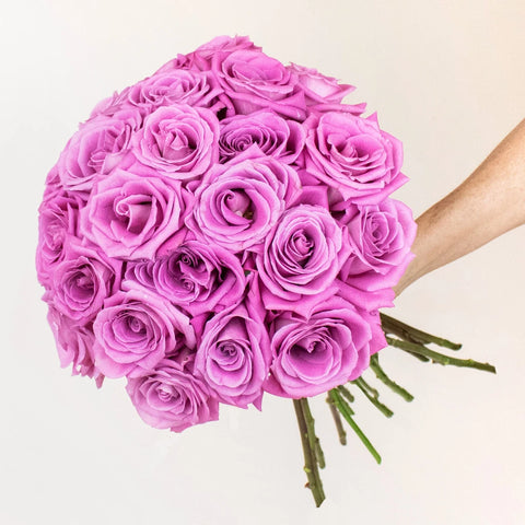 New Aqua Pink Rose Bunch in a Hand