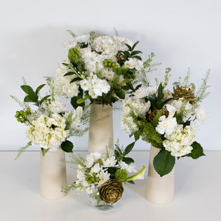 New Lovely Beginnings Close Up - Image