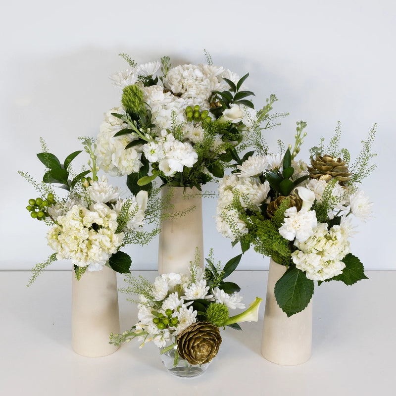 New Lovely Beginnings Close Up - Image