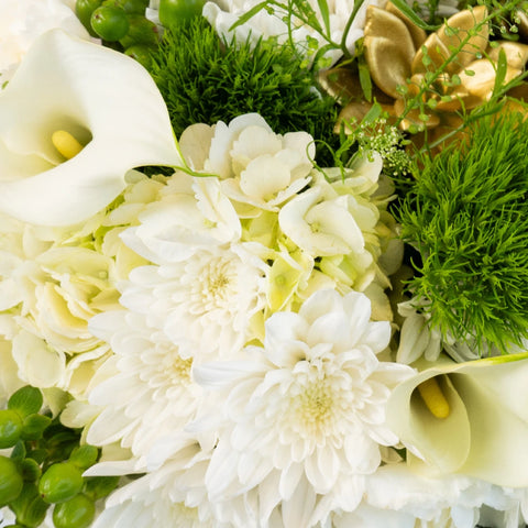 New Lovely Beginnings Hand - Image