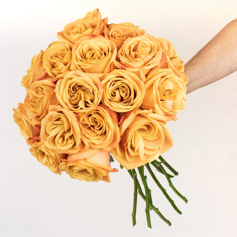 Nexus Orange Rose Bunch in a Hand