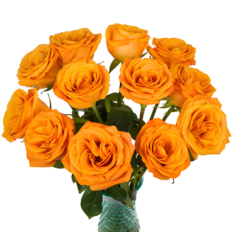 Nexus Orange Wholesale Roses Bunch In a Vase