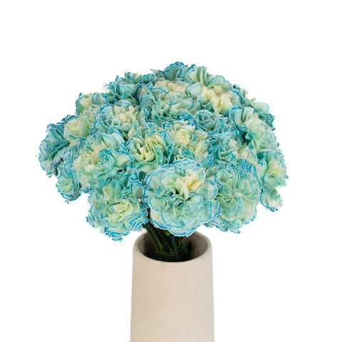 Nimbus Blue Cloud Carnation Flowers Vase - Image