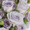 Nirvana Lavender Spray Roses