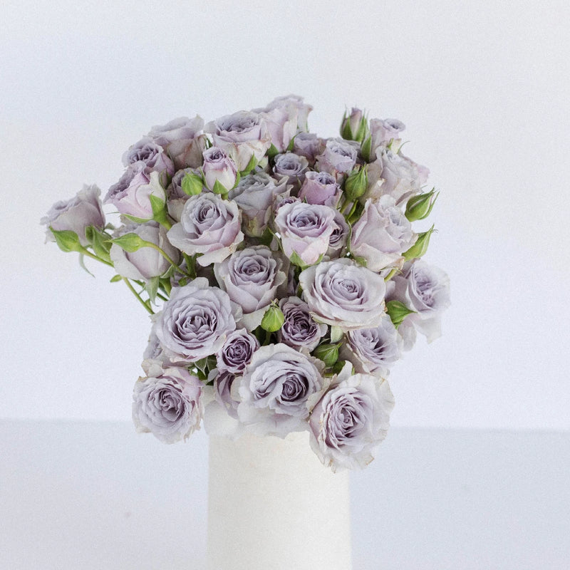 Nirvana Lavender Spray Roses Vase - Image