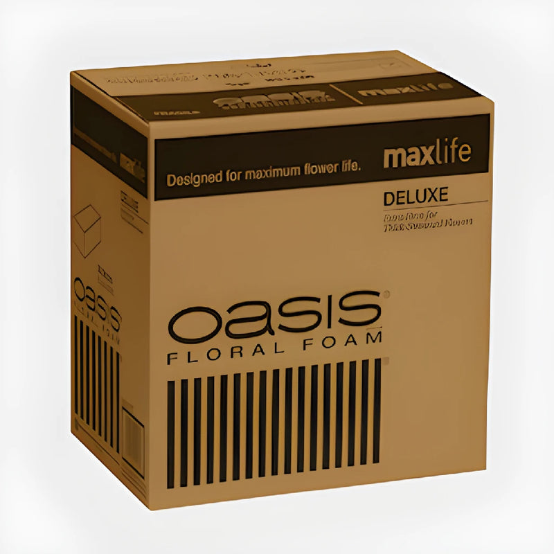 OASIS Deluxe Floral Foam Bricks