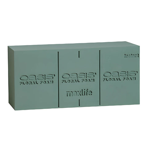 OASIS Instant Deluxe Floral Foam Bricks